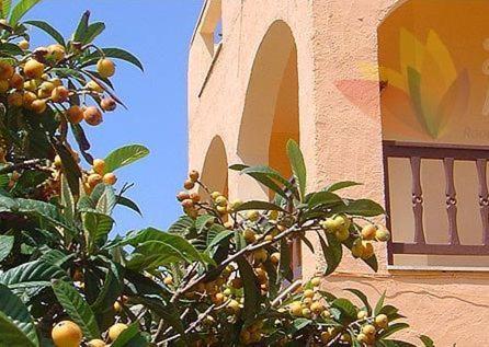 فندق House Margot باليكاسترون المظهر الخارجي الصورة
